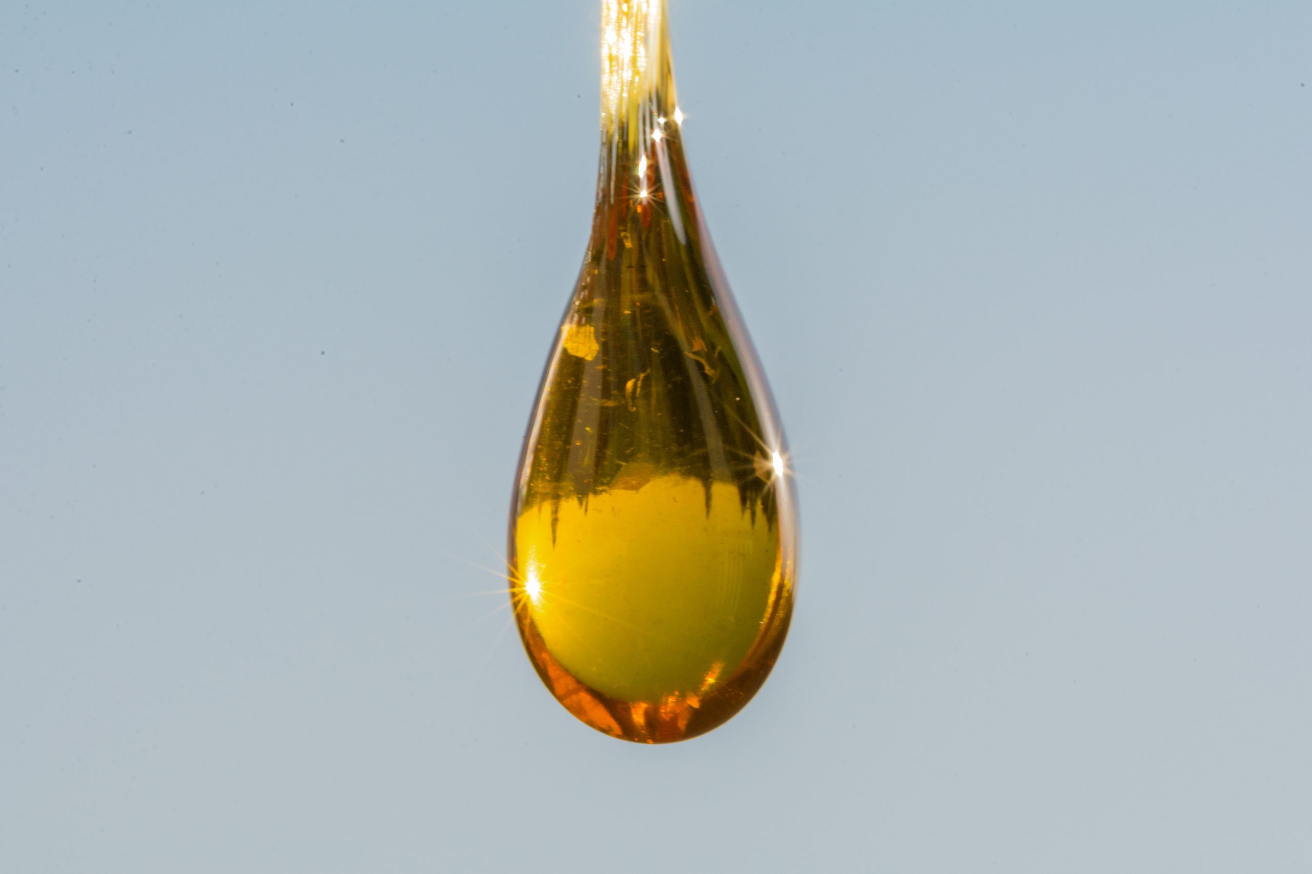 CBD Oil Hemp Extract